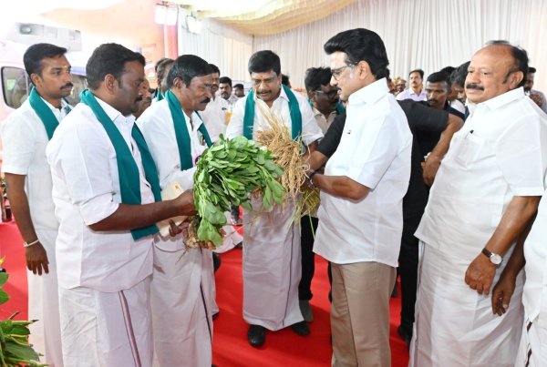 DMK AI Promises 2026 DMK AI Promises 2026