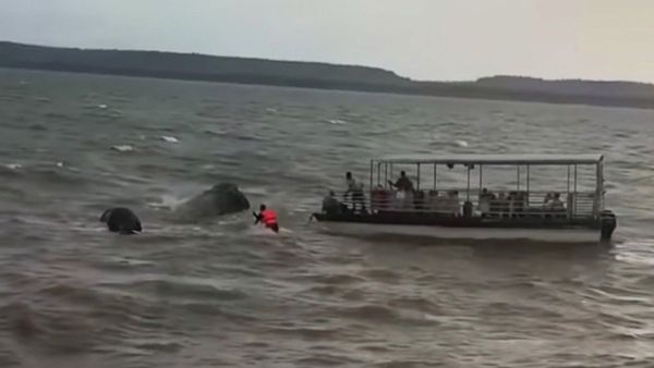 Boat accident in Madhya Pradesh Dam Six Tourist Dead