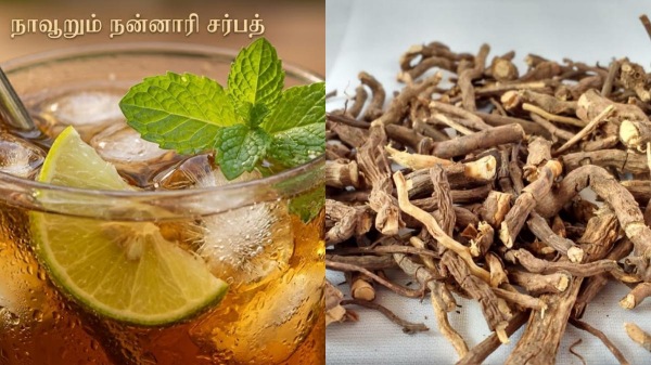 Homemade Nannari Sharbat