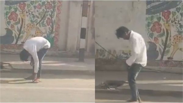 Zombie Drug Zombie Drug