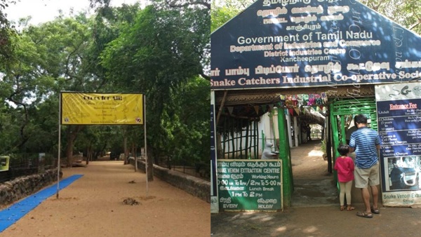 The 5-Year Secret of Vadanemmeli Farm Open to Visitors for the First Time