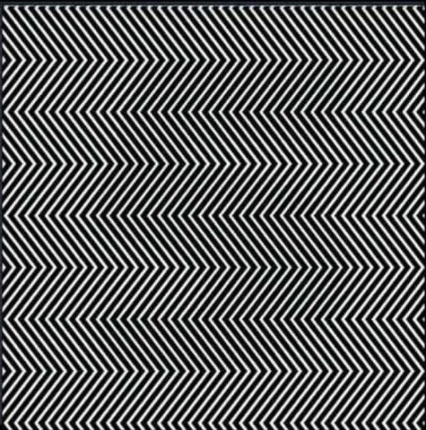 Optical Illusion Optical Illusion