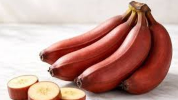 Red Banana Banana Benefits Healthy Food Natural Nutrition Health Tips Fruits Wellness