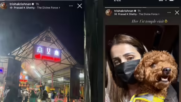 Trisha Kollywood News Celebrity Controversy Instagram Viral Tamil Cinema Pet Lovers Social Media Debate