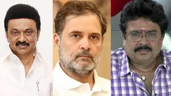 S Ve Shekher says Congress Betrayal DMK Alliance MK Stalin s Defeat Is Painful S Ve Shekher says Congress Betrayal DMK Alliance MK Stalin s Defeat Is Painful
