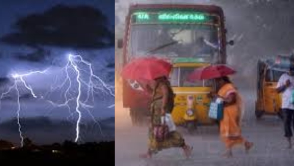 Heavy Rain Till 10 PM Orange Alert Issued for 3 Tamil Nadu Districts Heavy Rain Till 10 PM Orange Alert Issued for 3 Tamil Nadu Districts