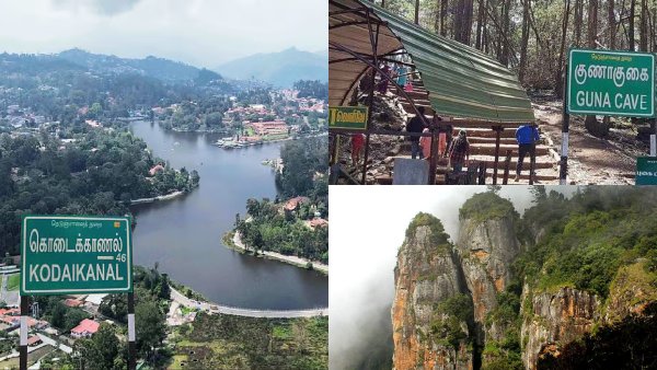 Kodaikanal Free Entry Announced for 4 Tourist Spots Amid Heavy Rush