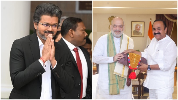 Vijay Vijay