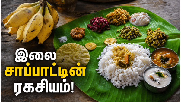 banana leaf health benefits banana leaf health benefits