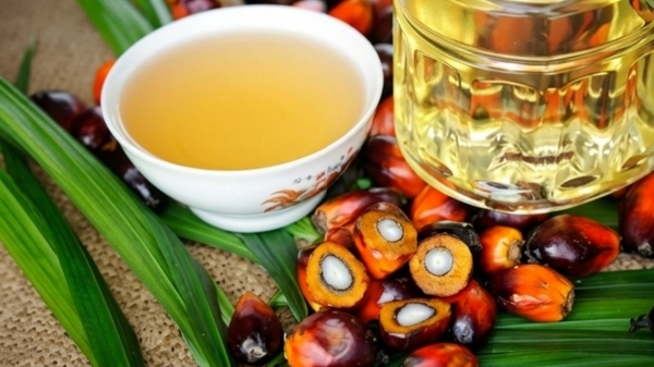 Palm Oil Healthy Oil Heart Care Cooking Tips Nutrition Facts Traditional Oil Food Health