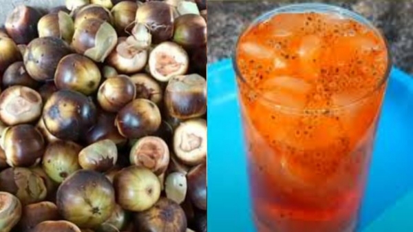 recipes nungu sarbath