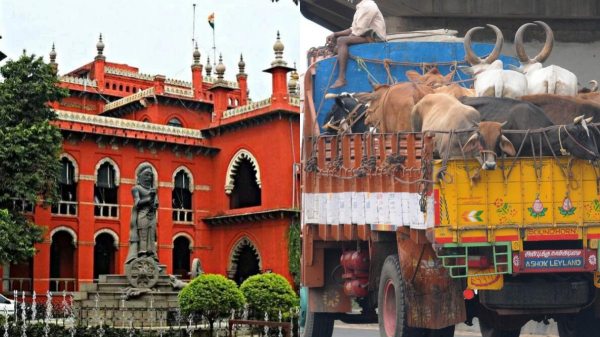 Madras High Court Madras High Court