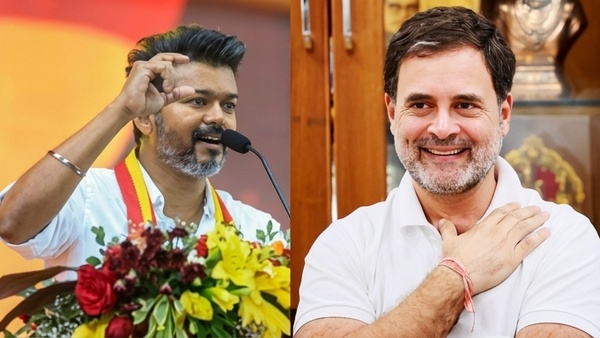 is-tvk-gets-support-from-congress-rahul-gandhi-got-girish-chodankara-report-about-tamil-nadu-ground