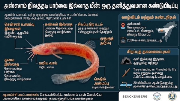 strange fish in assam