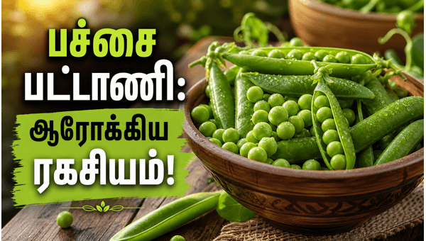 health benefits of green peas health benefits of green peas