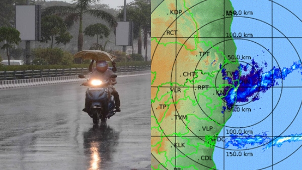 rain