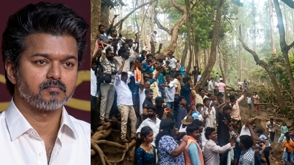 Vijay Vijay