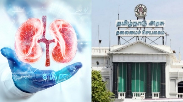 kidney theft