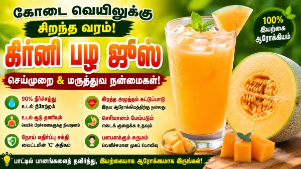 recipes muskmelon recipes muskmelon