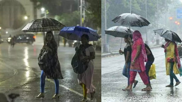 Heavy Overnight Rain Alert for 6 Districts Including Coimbatore Says Weather Department Heavy Overnight Rain Alert for 6 Districts Including Coimbatore Says Weather Department