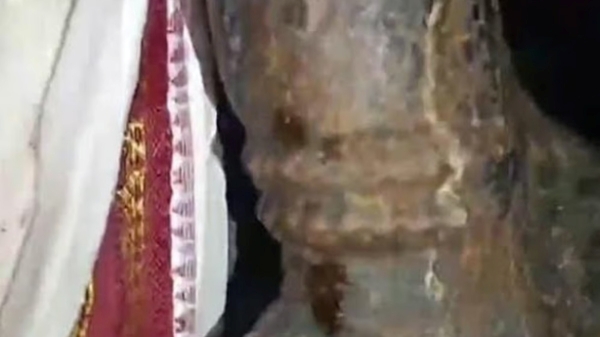 tirupati idol blood incident tirupati news temple mystery kali yuga viral temple incident devotee fears spiritual news