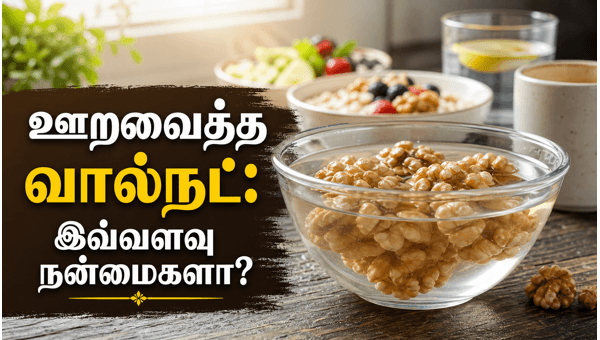 தினமும் ஊறவைத்த வால்நட் 2 சாப்பிடுங்க.. அப்புறம் பாருங்க உங்க உடம்புல ...