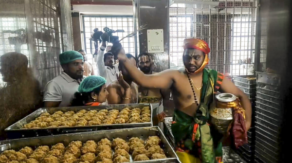 Tirupati Laddu Tirupati