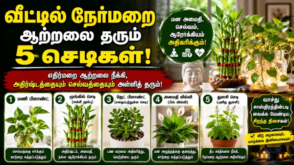 spirituality plants