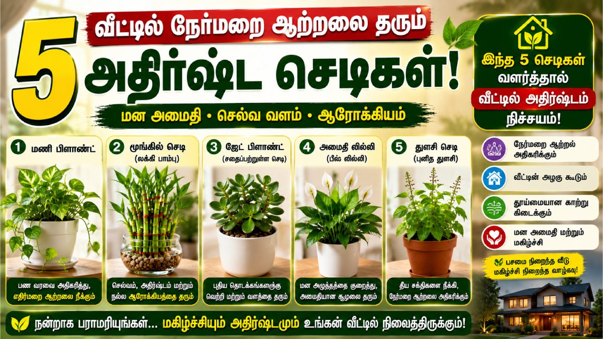 காசு மேல காசு.. உங்க வாசல் கதவை ராஜலட்சுமி தட்டுற நேரம் வேண்டுமா? இந்த 5 செடிகளை வீட்ல வளருங்க!