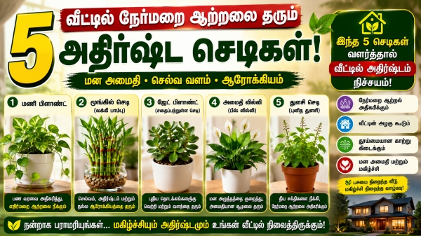 spirituality plants