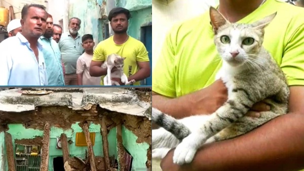 how-did-pet-cat-saves-bagalkot-father-and-son-after-the-house-roof-collapsed-due-to-rain how-did-pet-cat-saves-bagalkot-father-and-son-after-the-house-roof-collapsed-due-to-rain