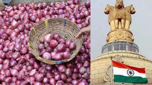 Onion Procurement Price Central Government Onion Procurement Price Central Government