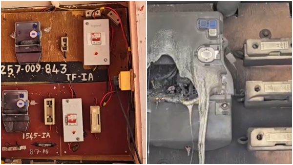 Squirrels cause electricity meter faults in Tiruvannamalai Cheyyar Electricity Board