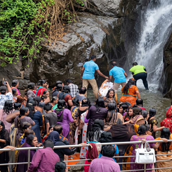 Courtallam Snake
