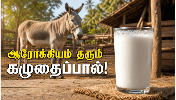 donkey milk health benefits