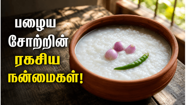 benefits of fermented rice water
