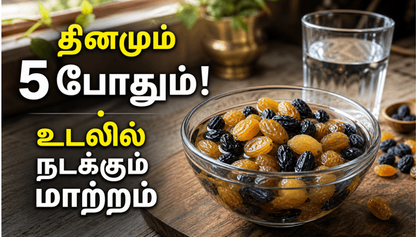 benefits of soaked raisins benefits of soaked raisins