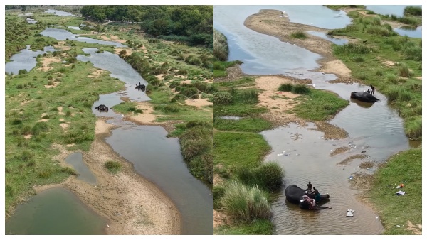 Drone Video Navatirpati temple elephants beat the summer heat in low-flowing Thamirabarani Drone Video Navatirpati temple elephants beat the summer heat in low-flowing Thamirabarani