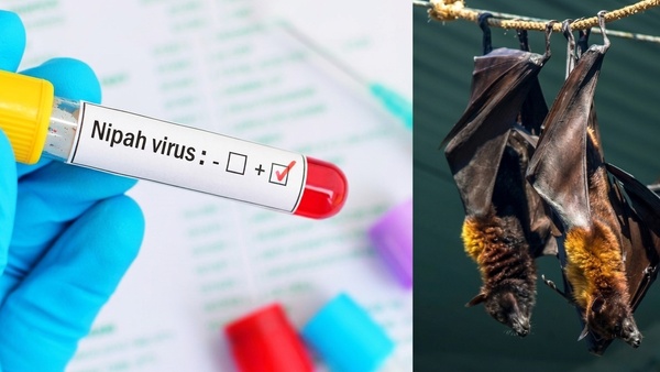 Kerala Nipah Virus outbreak Kerala Nipah Virus
