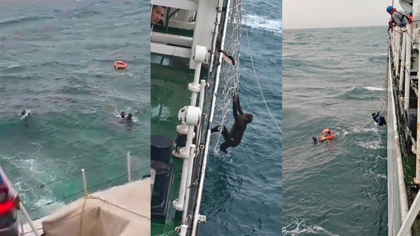 indian-coast-guard-ship-sachet-rescued-6-fishermen-who-distressed-coast-of-mangaluru