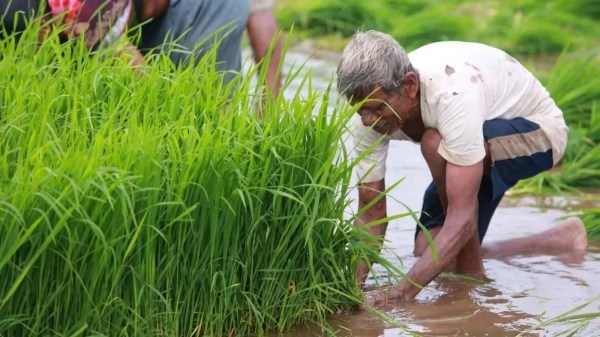 Tamil Nadu Waives Tamil Nadu Waives
