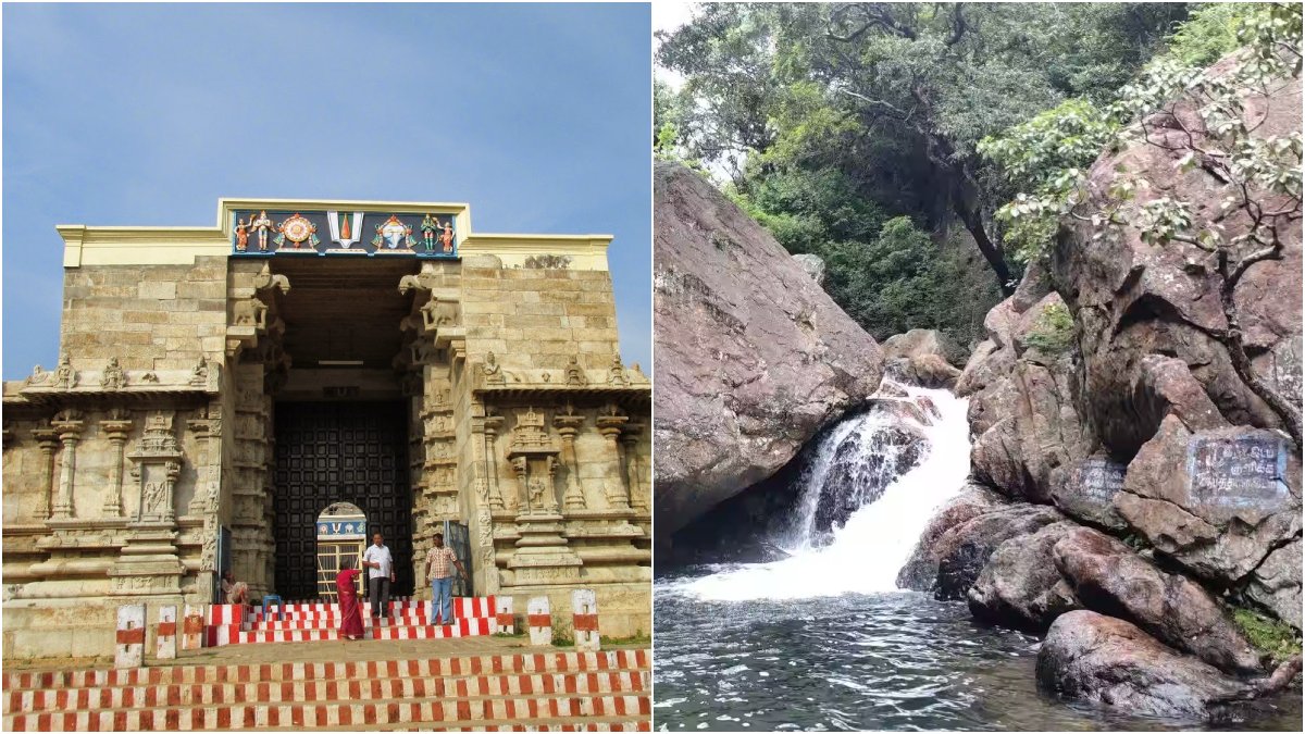 களக்காடு தலையணை, நம்பிகோயில் அருவிக்கு போறீங்களா! வனத்துறை வெளியிட்ட முக்கிய அறிவிப்பு!