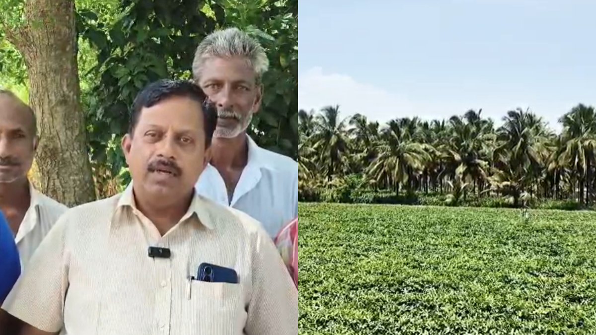 பொள்ளாச்சியில் ஆட்சி மாறினாலும் காட்சி மாறவில்லை..  கனிம வளத்துறை அமைச்சருக்கு விவசாயிகள் கோரிக்கை