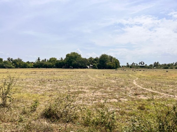 land