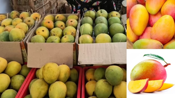 after-japan-nepal-bans-import-of-indian-mangoes