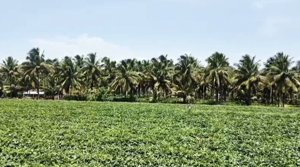 Coimbatore