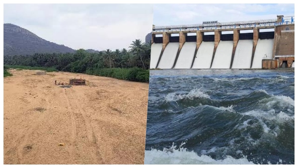 Theni Collector has invited applications for soil extraction from the Vaigai Dam