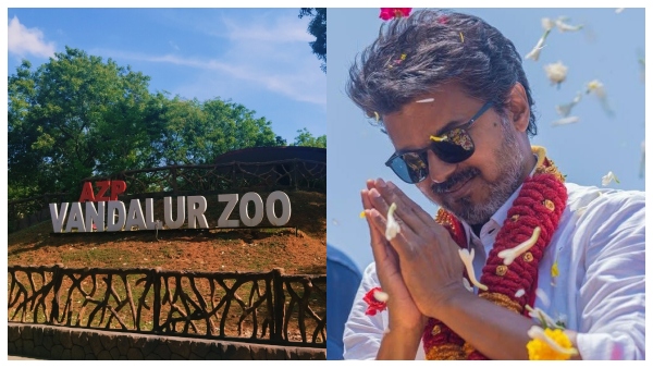 Chief Minister Vijay s birthday Free entry to Vandalur Zoo on June 21 and 22 Govt announcement Chief Minister Vijay s birthday Free entry to Vandalur Zoo on June 21 and 22 Govt announcement