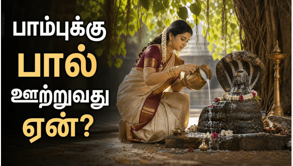 spiritual significance of offering milk to snakes