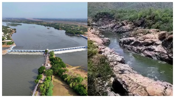 Mekedatu Dam violates the Supreme Court verdict CWC letter exposes Karnataka s falsehood Mekedatu Dam violates the Supreme Court verdict CWC letter exposes Karnataka s falsehood
